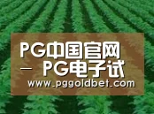 种植基地六(图1)