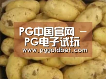 产品展示标题6