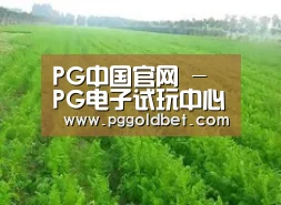 种植基地四